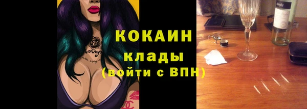 PSILOCYBIN Навашино