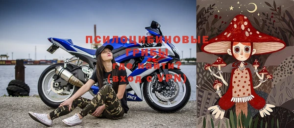 PSILOCYBIN Навашино