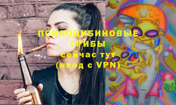 PSILOCYBIN Навашино