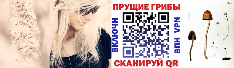 Псилоцибиновые грибы Magic Shrooms  Нерехта 